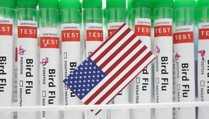 Test tubes labelled Bird Flu and a piece of paper in the colors of the US national flag are seen in this picture illustration, on January 14, 2023. —Reuters